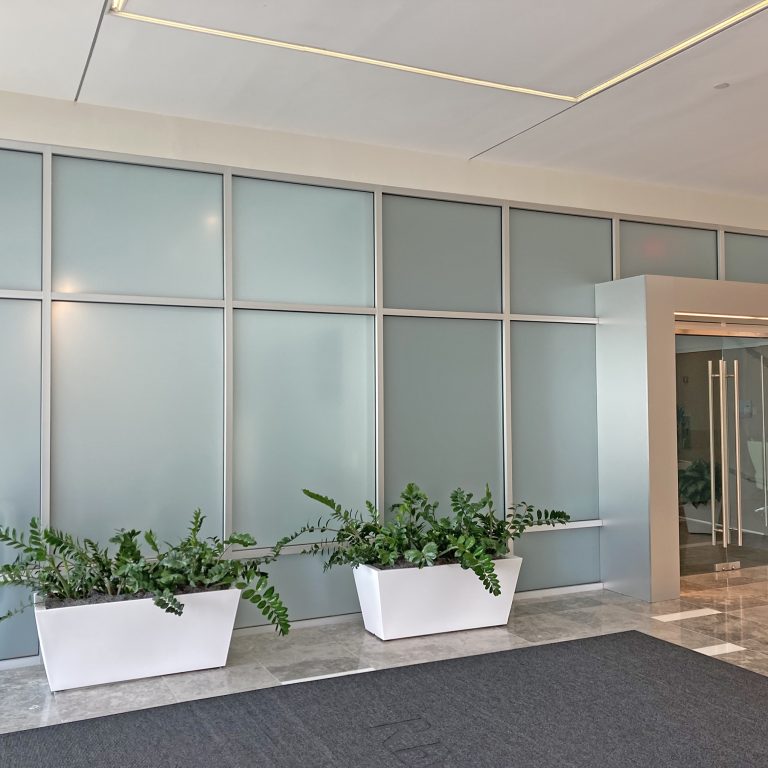 Privacy windows near me Raleigh, the Triangle, and the Carolina Coast